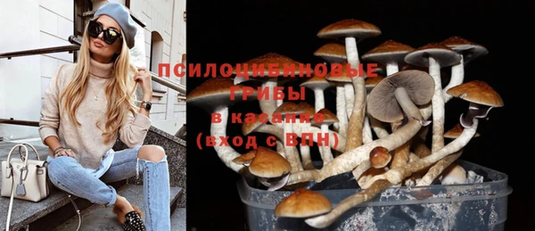 ешки Белокуриха