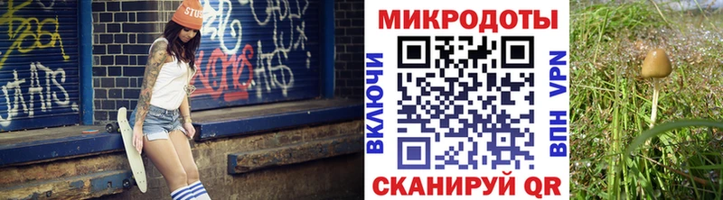 сайты даркнета какой сайт  Строитель  blacksprut как войти  Псилоцибиновые грибы ЛСД  продажа наркотиков 