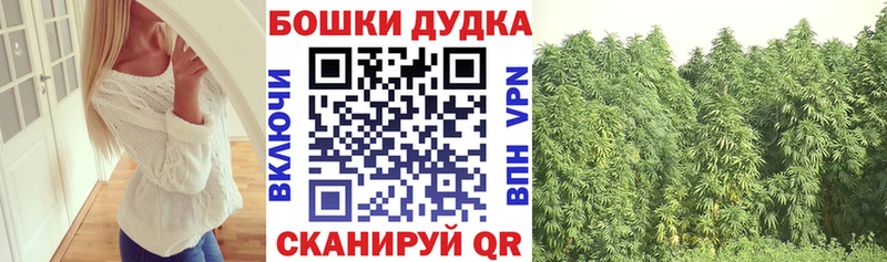 Конопля план  Строитель 